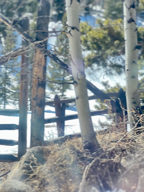 Side Quests & Other Forms of Folly&nbsp;#7