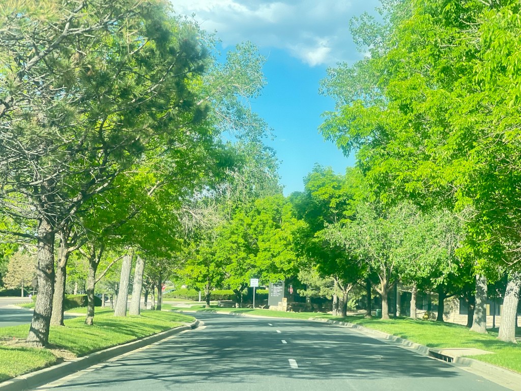 #19 It Was Bound To&nbsp;Happen