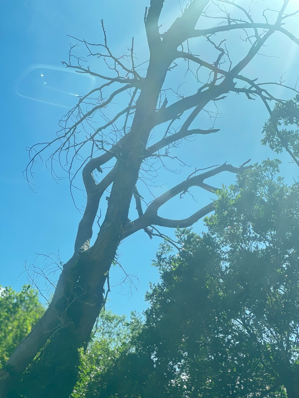 Off For A Weekend Adventure!&nbsp;#22