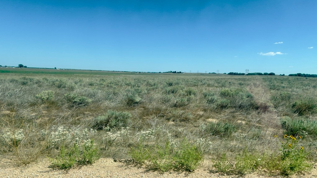 An Adventure Inside An Adventure&nbsp;#32