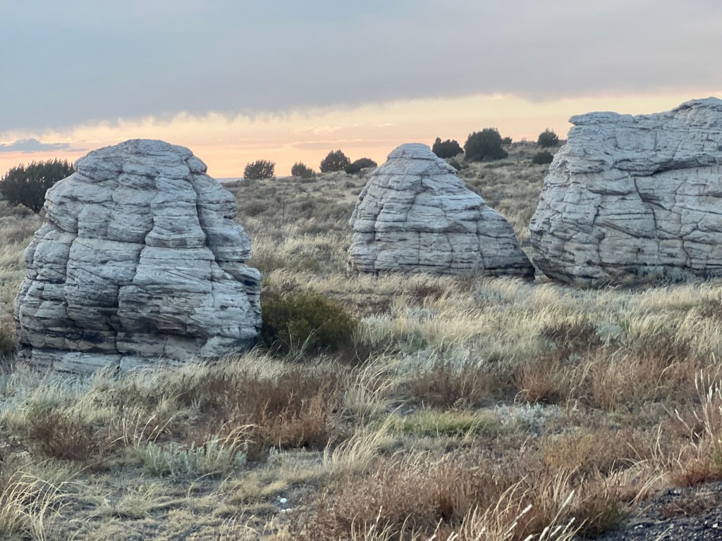 What I Did In Texas&nbsp;#36